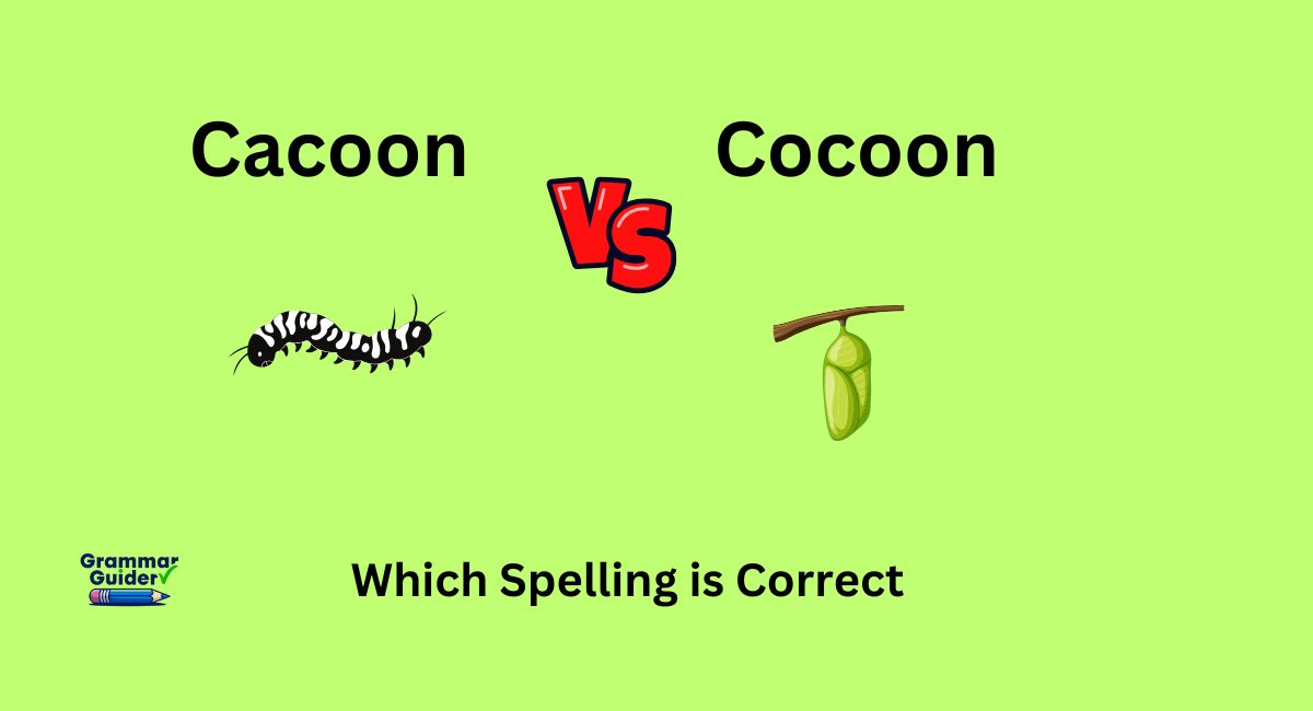 Cacoon or Cocoon: Which Spelling is Correct?