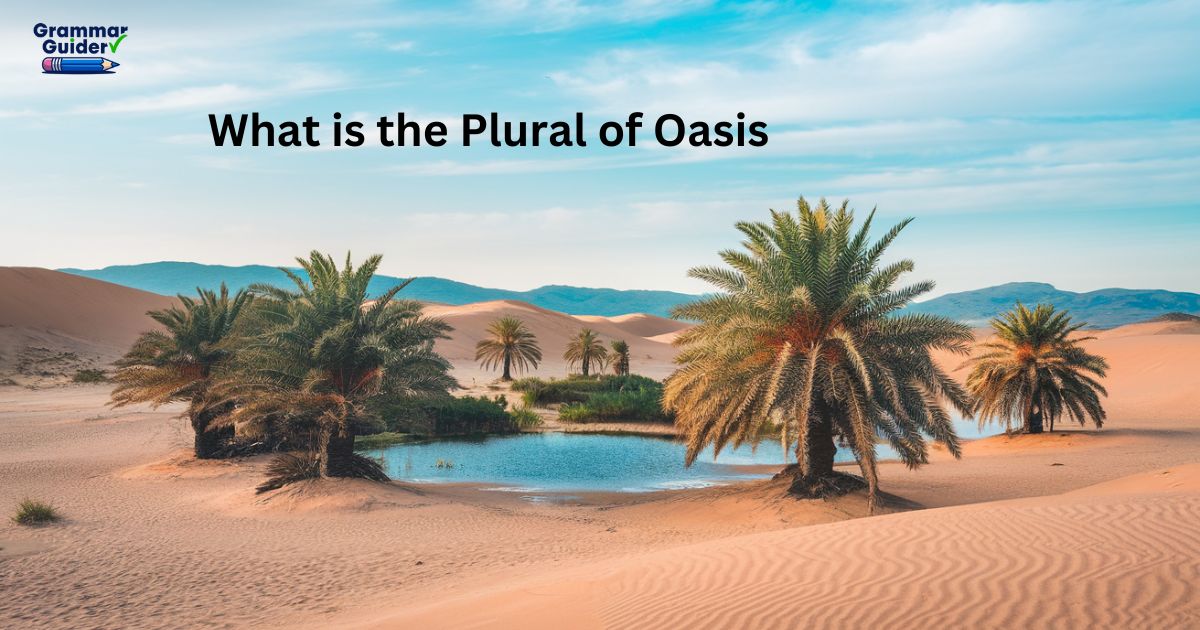 What is the Plural of Oasis?