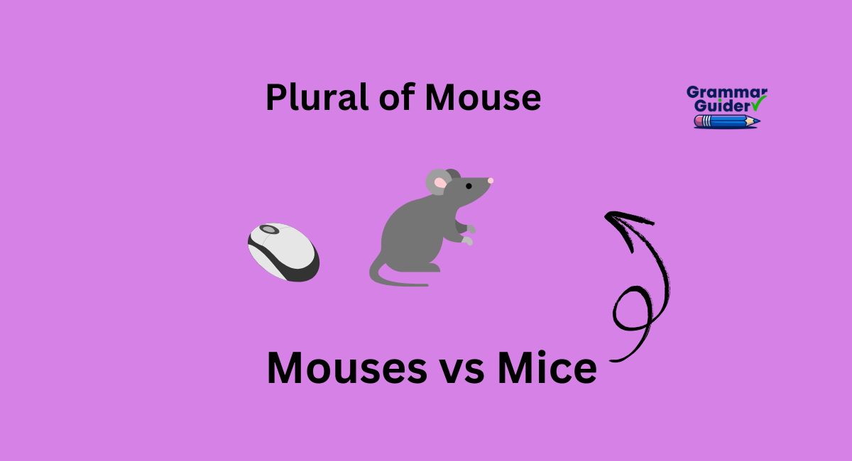 Mouses vs Mice: What’s the Correct Plural of Mouse?