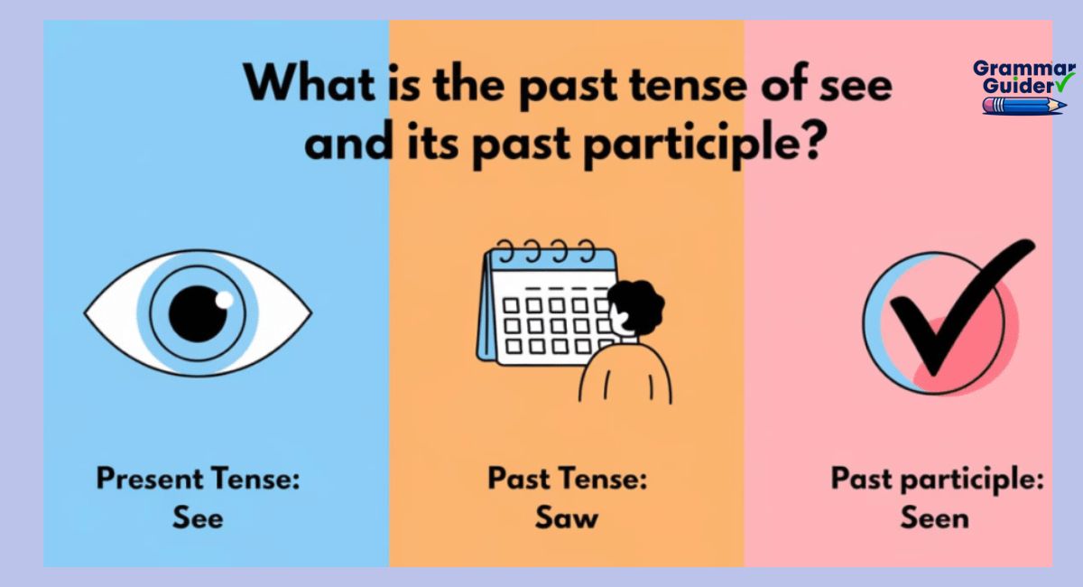 What is the Past Tense of See and its Past Participle?