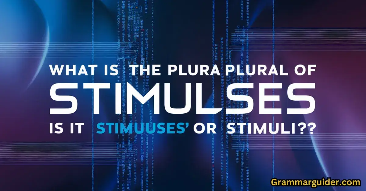 what-is-the-plural-of-stimulus-is-it-stimuluses-or-stimuli