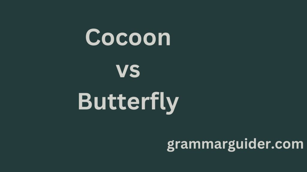 Cocoon vs. Butterfly The Ultimate Transformation