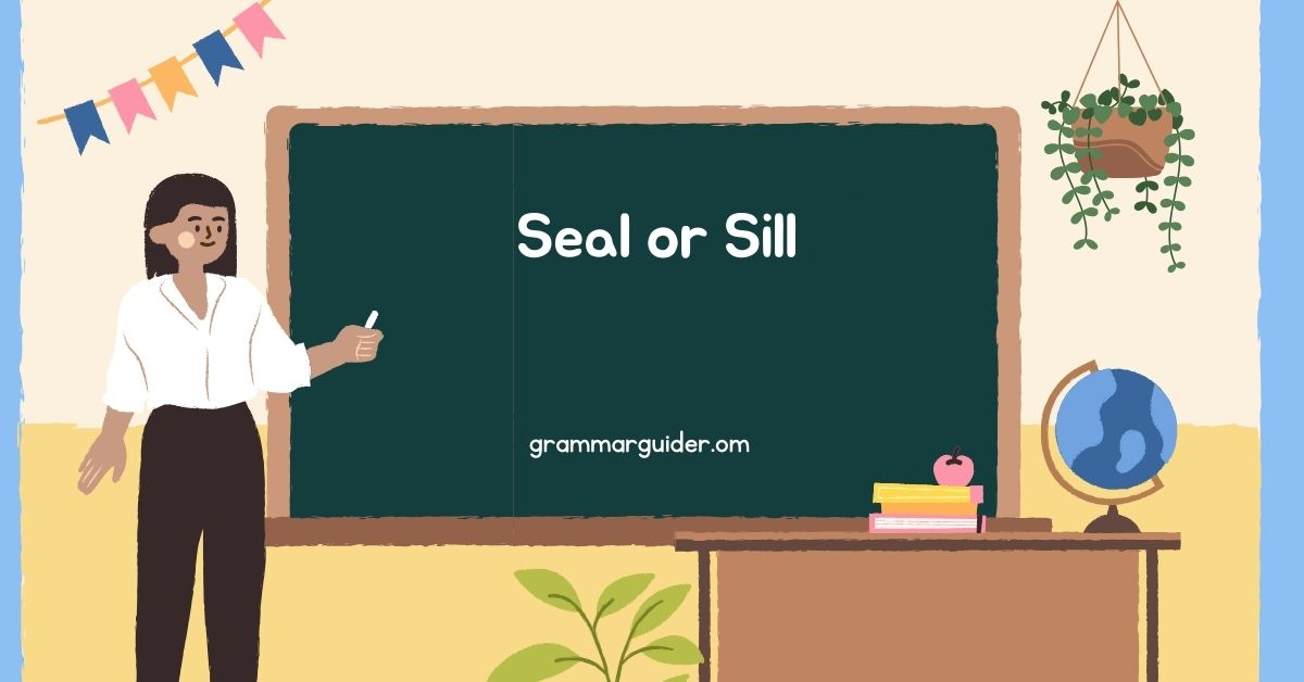 Seal or Sill